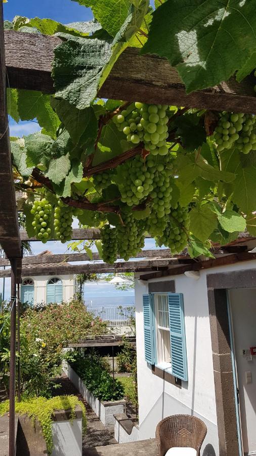 Casa Da Madalena Do Mar 빌라 외부 사진