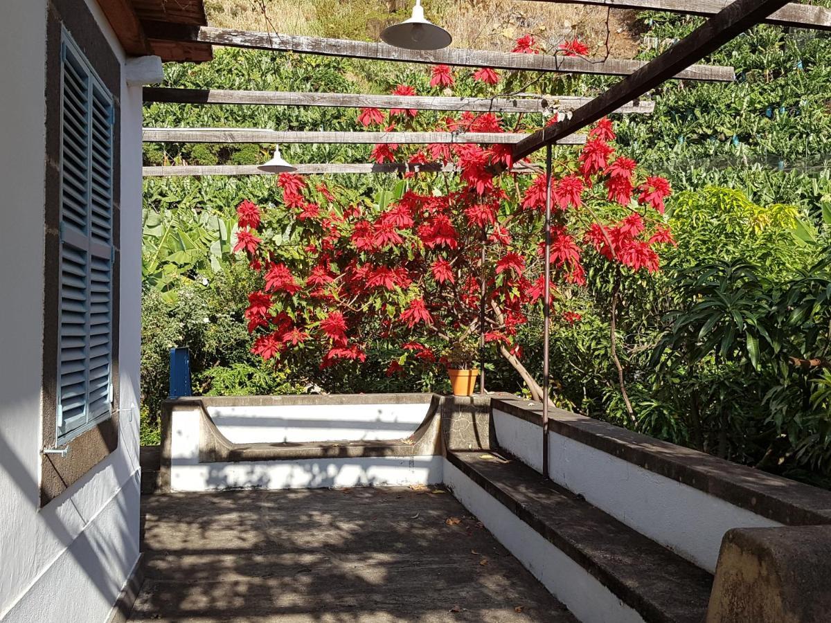 Casa Da Madalena Do Mar 빌라 외부 사진