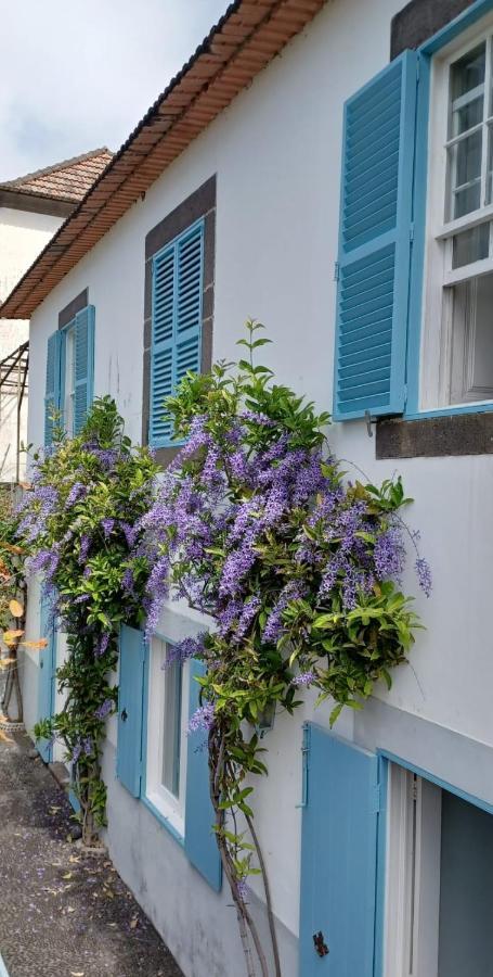 Casa Da Madalena Do Mar 빌라 외부 사진
