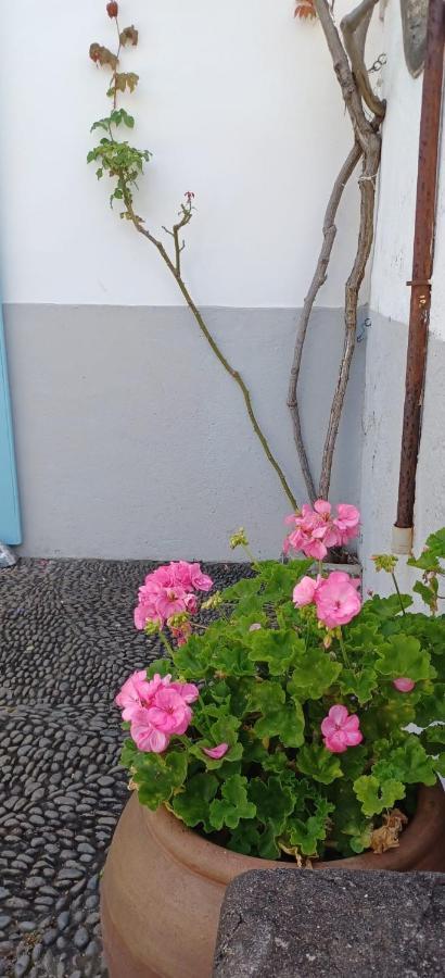 Casa Da Madalena Do Mar 빌라 외부 사진