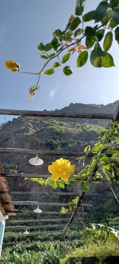 Casa Da Madalena Do Mar 빌라 외부 사진